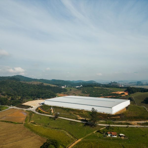 zflog (1)